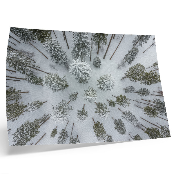 Moderne decoratieve poster Winterse bosrust minimalisme natuurlijkheid