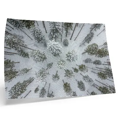 Moderne decoratieve poster winterse bosrust met een minimalistische uitstraling