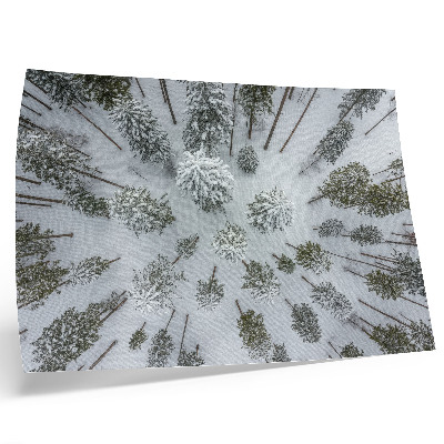 Moderne decoratieve poster Winterse bosrust minimalisme natuurlijkheid