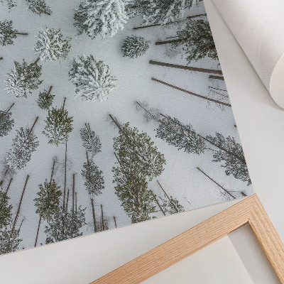 Moderne decoratieve poster Winterse bosrust minimalisme natuurlijkheid