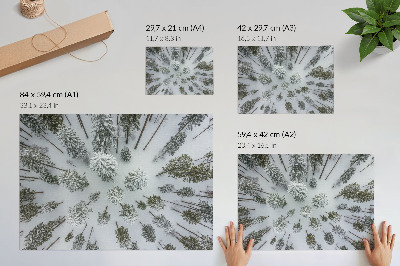 Moderne decoratieve poster Winterse bosrust minimalisme natuurlijkheid