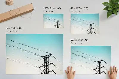 Poster vogels op elektriciteitskabels tegen een blauwe lucht