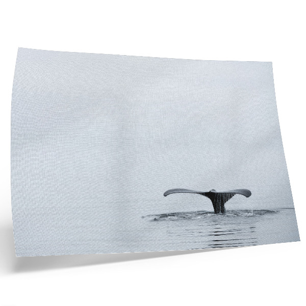 Stijlvolle wandposter Walvisstaart boven water minimalisme harmonie
