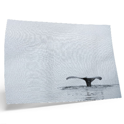 Stijlvolle wandposter Walvisstaart boven water minimalisme harmonie