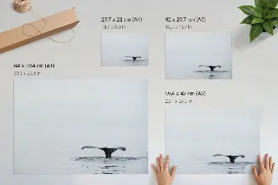 Wandposter Walvisstaart boven water minimalisme en harmonie