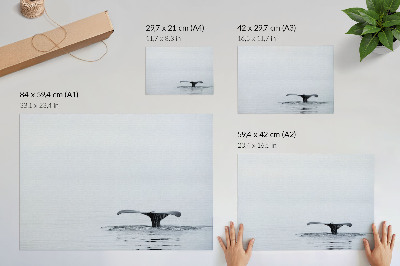 Stijlvolle wandposter Walvisstaart boven water minimalisme harmonie
