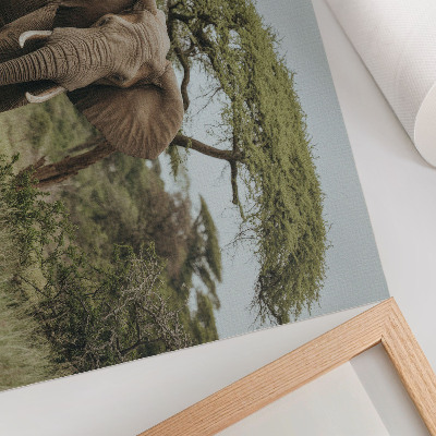 Stijlvolle wandposter Een olifant tegen de achtergrond van een groene savanne.