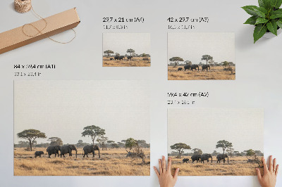Stijlvolle wandposter Olifanten op de Afrikaanse savanne tussen de bomen