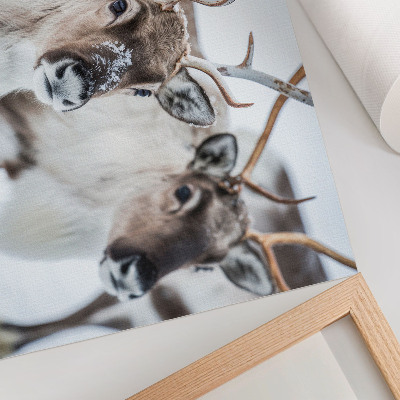 Stijlvolle wandposter Rendieren met natuurlijke geweien, harmonieus winterlandschap