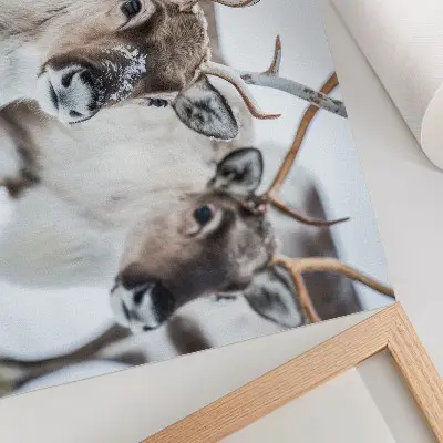 Stijlvolle wandposter rendieren met natuurlijke geweien in een harmonieus winterlandschap