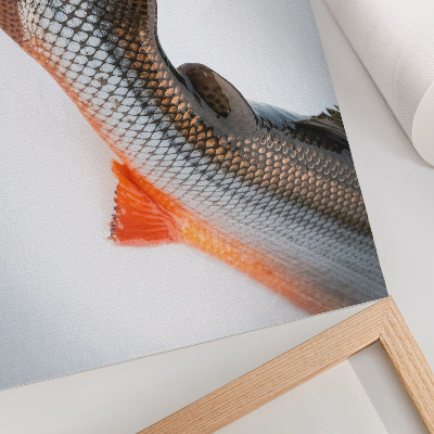 Moderne decoratieve poster Natuurlijke schubben en dynamische kleuren van dichtbij.
