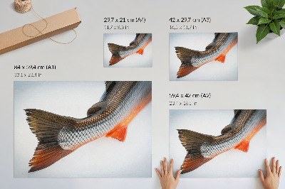 Moderne decoratieve poster Natuurlijke schubben en dynamische kleuren van dichtbij.
