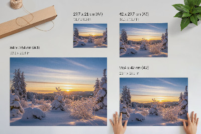 Poster Winterlandschap met sneeuw en de zon aan de horizon.