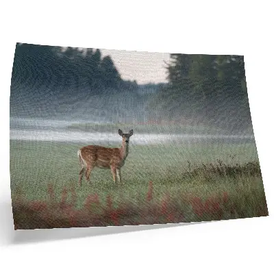 Wandposter hert in mistig bos stijlvolle wanddecoratie met een hert in een mistig weiland en bos