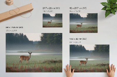 Stijlvolle wandposter Herten tegen de achtergrond van mistige weilanden en bos.