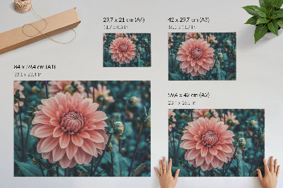 Poster Moderne compositie met roze dahlia's en groene bladeren