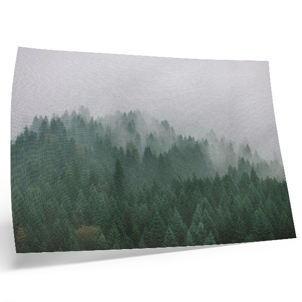 Poster Een mistig panorama van een bos vol groen en grijs.