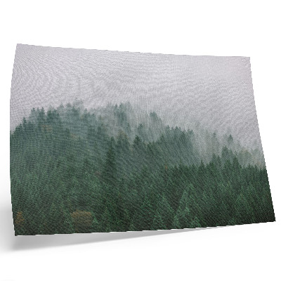 Poster Een mistig panorama van een bos vol groen en grijs.