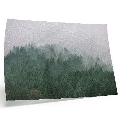Poster mistig panorama van een bos in groen en grijs