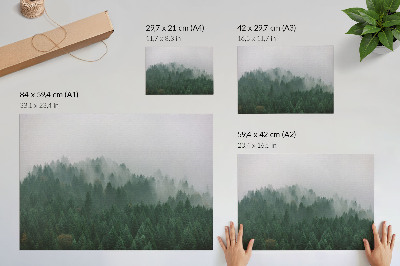 Poster Een mistig panorama van een bos vol groen en grijs.
