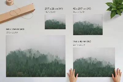 Poster mistig panorama van een bos in groen en grijs