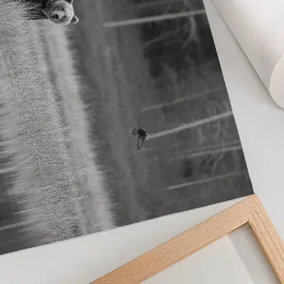 Wandposter Beer bij het water zwart-witte atmosfeer