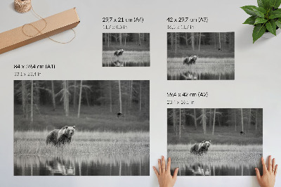 Stijlvolle wandposter Beer bij het water, zwart-witte atmosfeer
