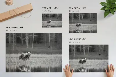 Wandposter Beer bij het water zwart-witte atmosfeer