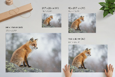 Poster Vos in het winterlandschap, de serene rust van de natuur