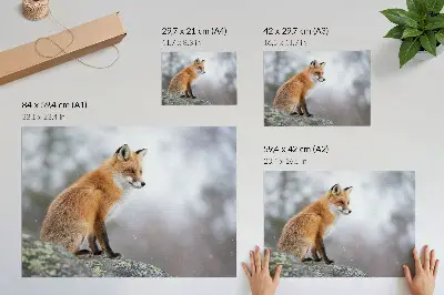 Poster vos in het winterlandschap met de serene rust van de natuur