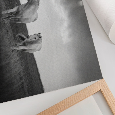 Moderne decoratieve poster Witte paarden tegen een weide in grijstinten