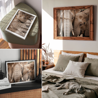 Moderne decoratieve poster Twee grote olifanten dichtbij, warme tinten