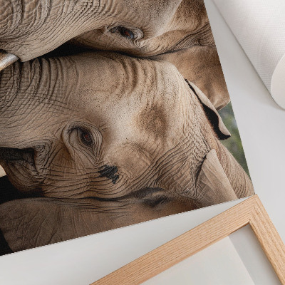 Moderne decoratieve poster Twee grote olifanten dichtbij, warme tinten