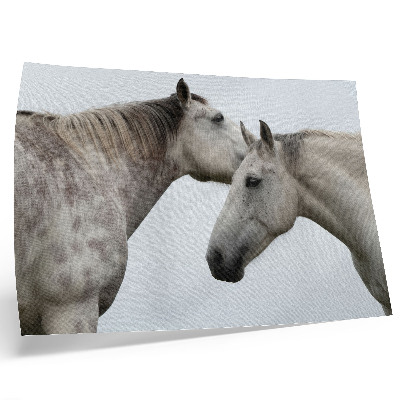 Stijlvolle wandposter Twee paarden in harmonie van grijs en wit.