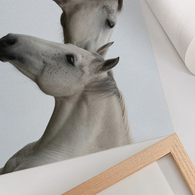 Stijlvolle wandposter Twee paarden in harmonie van grijs en wit.