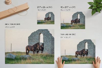 Poster Het contrast tussen ruïnes en paarden in het groen.
