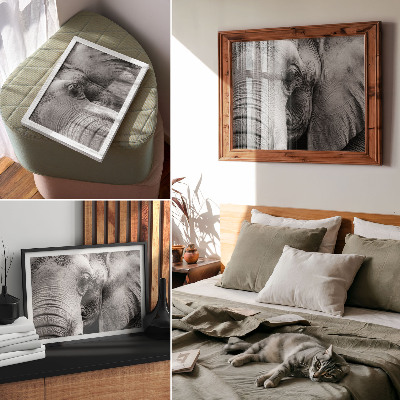 Stijlvolle wandposter Monochroom olifantendetails minimalisme elegantie
