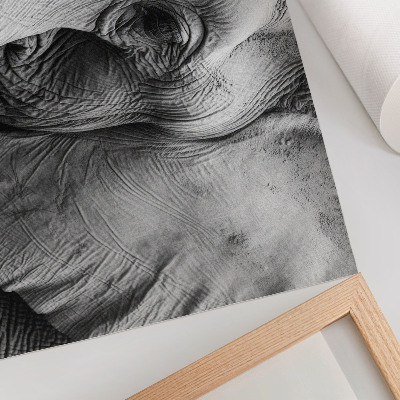 Stijlvolle wandposter Monochroom olifantendetails minimalisme elegantie