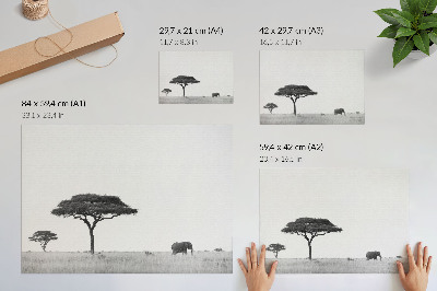 Moderne decoratieve poster Olifanten en acacia's op de savanne in een subtiel kleurbereik