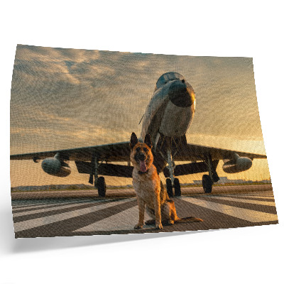 Poster Hond en vliegtuig in de zonsondergang - een uniek gezicht