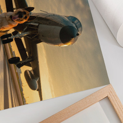 Poster Hond en vliegtuig in de zonsondergang - een uniek gezicht