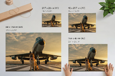 Poster Hond en vliegtuig in de zonsondergang - een uniek gezicht