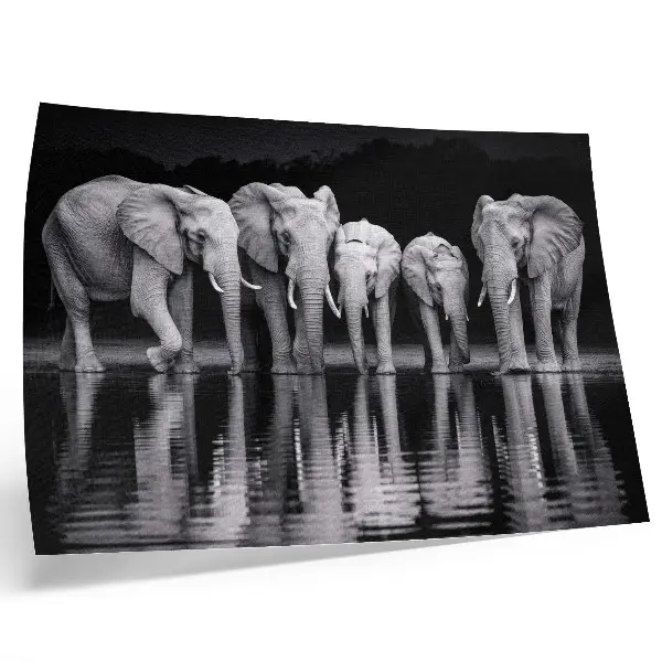 Wandposter olifanten bij het water met een vredige uitstraling voor bezinning
