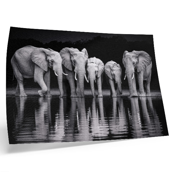 Stijlvolle wandposter Olifanten bij het water, vredige harmonie en bezinning.