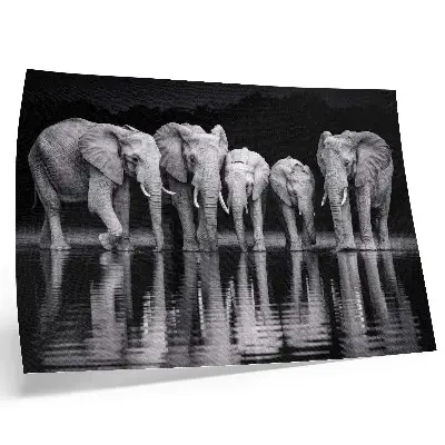 Wandposter olifanten bij het water met een vredige uitstraling voor bezinning