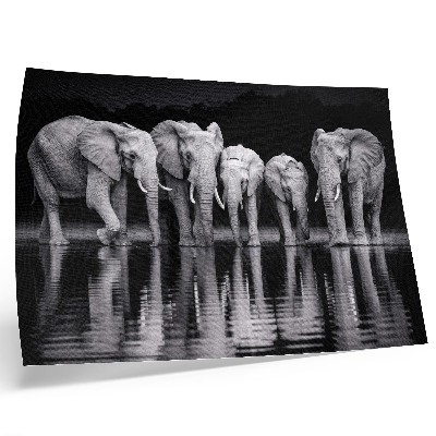 Stijlvolle wandposter Olifanten bij het water, vredige harmonie en bezinning.