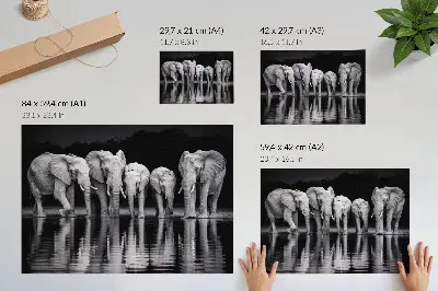 Wandposter olifanten bij het water met een vredige uitstraling voor bezinning