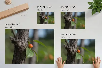 Wandposter met oranje vruchten, groene bladeren en bruine schors