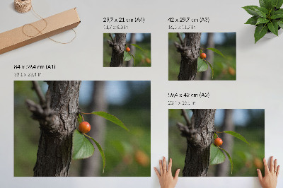 Stijlvolle wandposter Oranje vruchten, groene bladeren, bruine schors