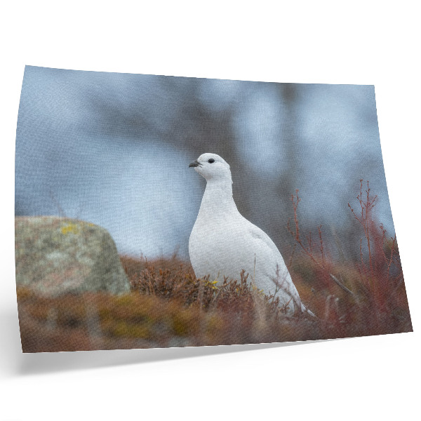 Stijlvolle wandposter Een witte vogel in een winterse omgeving.